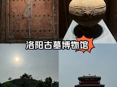 -洛阳古墓博物馆
