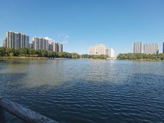 -南翔镇银翔湖公园