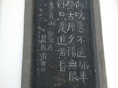 -西安乐游原
