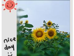 -同堂韩国料理炭火烤肉(彩虹广场店)