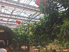 -北戴河集发农业梦想王国