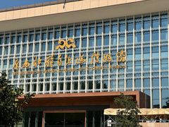 -广西壮族自治区博物馆