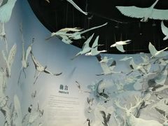 -中国湿地博物馆