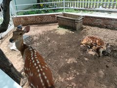 -丽泽山庄·生态怀柔菜·虹鳟鱼(红螺寺店)