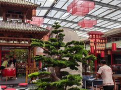 -老山东·山东菜(鲁菜名店)