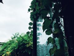 -小雅青年旅舍(平江路店)