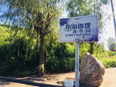 -紫海香堤香草艺术庄园