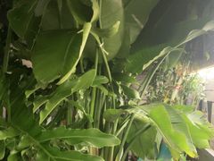 -苦尽酒馆·川菜(鼓楼店)