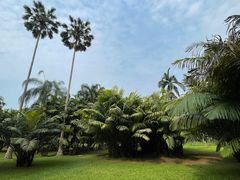 -中国科学院西双版纳热带植物园