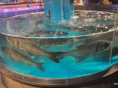 -魏铭鱼头捞饭(晋阳路店)