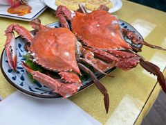 -金德酒楼(沧口路店)