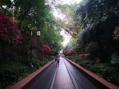 -铁路文化公园