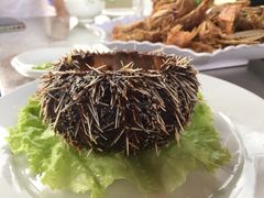 -QQ海鲜餐厅