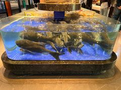 -高佳庄·海鲜酒楼(定海店)