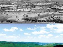 -塞罕坝国家级自然保护区