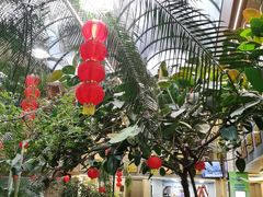 -九尊食上(生态园林酒店)