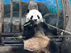 -杭州少年儿童公园
