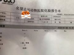 -瑞派名望志远动物医院·猫科·內科·异宠专科(直港大道店)