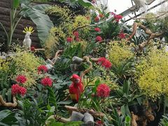 -北京植物园-展览温室