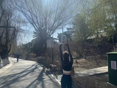 -红黄蓝成长中心•婴幼儿早教•托育(南山京基百纳广场店)