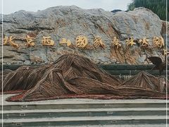 -北京西山国家森林公园