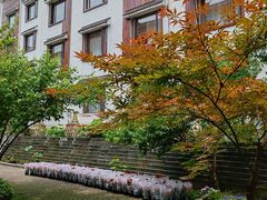 -九华山聚龙大酒店