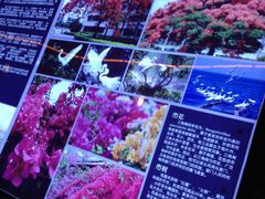 IMG_1285-铁路文化公园