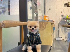 -萌兽医馆·眼科·异宠专科(三里屯店)