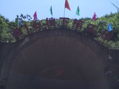 -武陵山森林公园