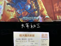 -幸福蓝海国际影城(崇安寺T12店)
