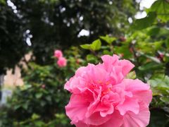 -广州市紫泥堂文化创意园景区