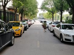 -上海总工会黄浦区工人体育馆-停车场