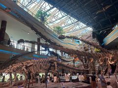 -安徽省地质博物馆