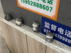 -半岛宠物医院24小时(白果林店)