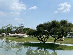 -夏河溪乡野公园