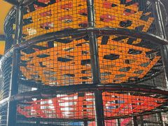 -VFSC极限蹦床主题公园(乐园道彩悦城阳光店)