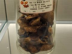 -广东中医药博物馆