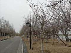 -水西公园