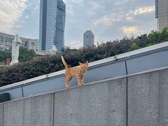 -UNIUNI(凯瑟琳广场店)