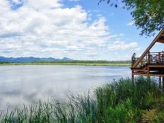 -野鸭湖国家湿地公园