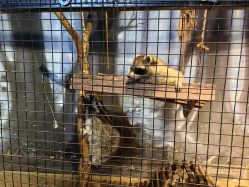 -酷嗒动物文化乐园(cutezoo西溪乐天城店)