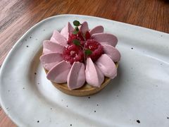 -猫里有甜