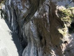 -太鲁阁公园