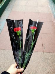 -儿童天堂专业儿童摄影(云岩区店)