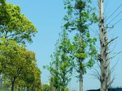 -嘉北郊野公园北游客中心-地上停车场
