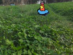 -灞河西岸滨河公园