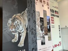 -四川美术馆