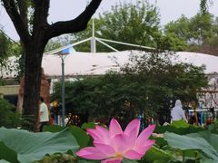 -北陵公园