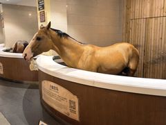 -中国马镇舞马世界主题乐园