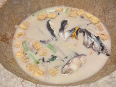 蒸汽石锅鱼-云海肴云南菜·蒸汽石锅鱼(青岛万象城店)